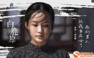 白鹿原电视剧在线观看,穿越历史的长河，探寻家族兴衰之谜