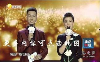 陕西卫视直播在线观看,实时掌握精彩瞬间，尽享视听盛宴