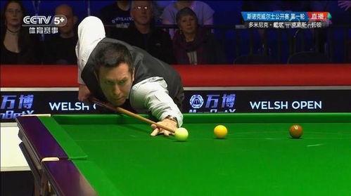 斯诺克在线直播,在线直播带你领略台球魅力